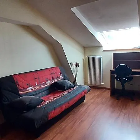 Apartment Sous Les Toits Spinaliens, Proche Commerces *