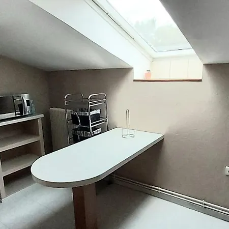 Sous Les Toits Spinaliens, Proche Commerces Apartment Epinal
